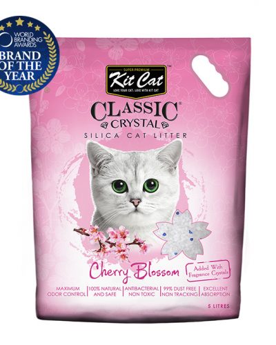 kit cat silica catlitter cherry blossom pet action pet shop