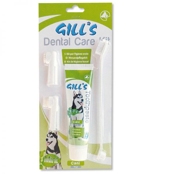gill's dental care toothpaste pet action pet shop