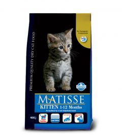 matisse kitten pet shop online νεα ιωνια